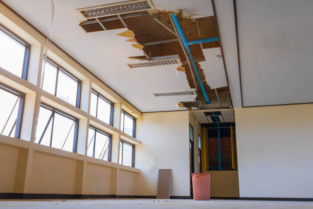 Best Water damage restoration near me  in Sultana, CA