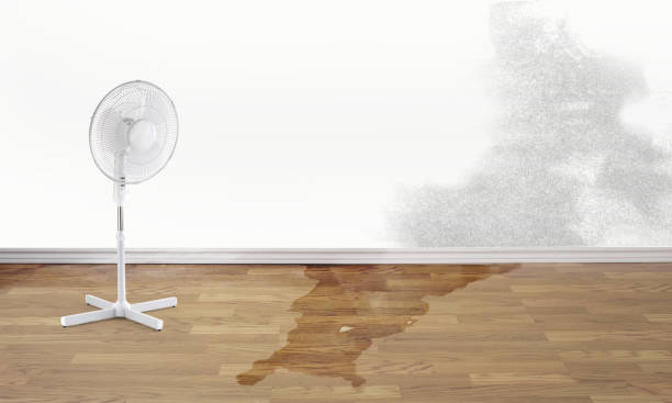 Best Water damage repair service  in Sultana, CA