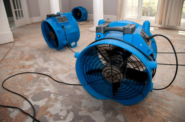 Best Basement water damage restoration  in Sultana, CA
