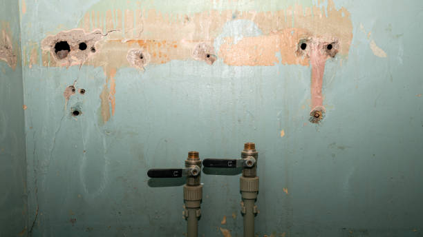 Best Flood restoration services  in Sultana, CA