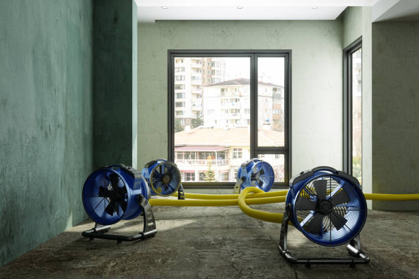 Best Basement water damage restoration  in Sultana, CA