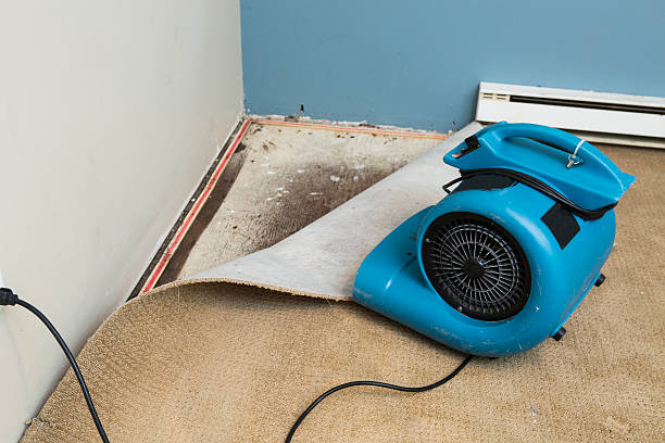 Professional Water damage restoration in Sultana, CA